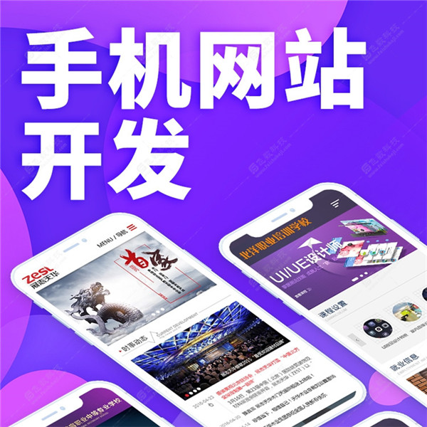 桥东区正规网站制作公司哪家好